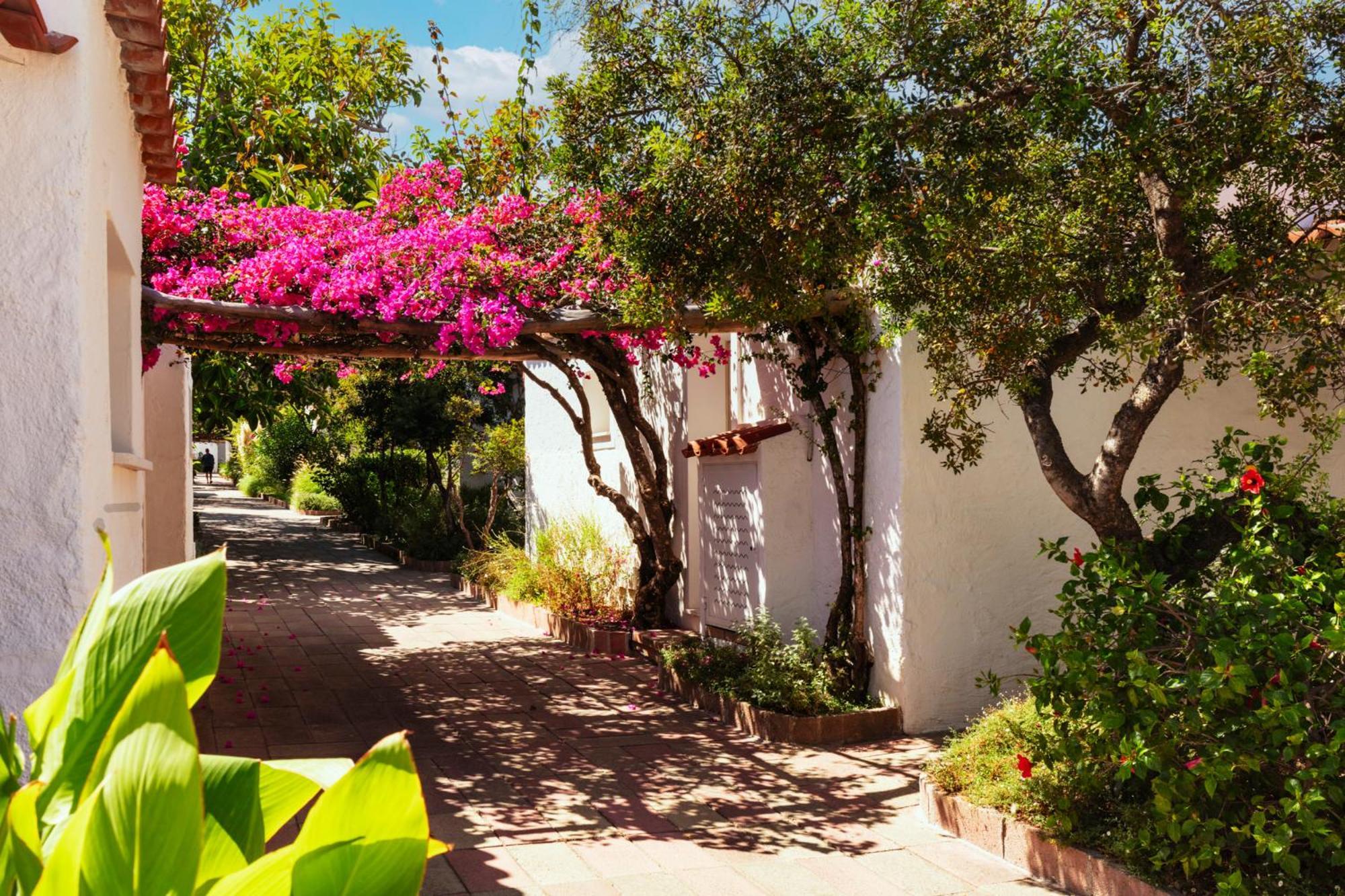 Amasea 4* San Teodoro (Sardinia)